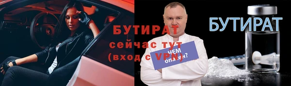 ешки Новодвинск
